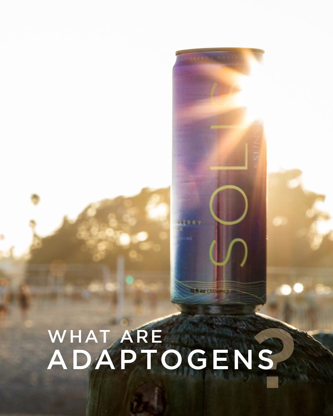 Sunstone Brands, image 24 of 28
