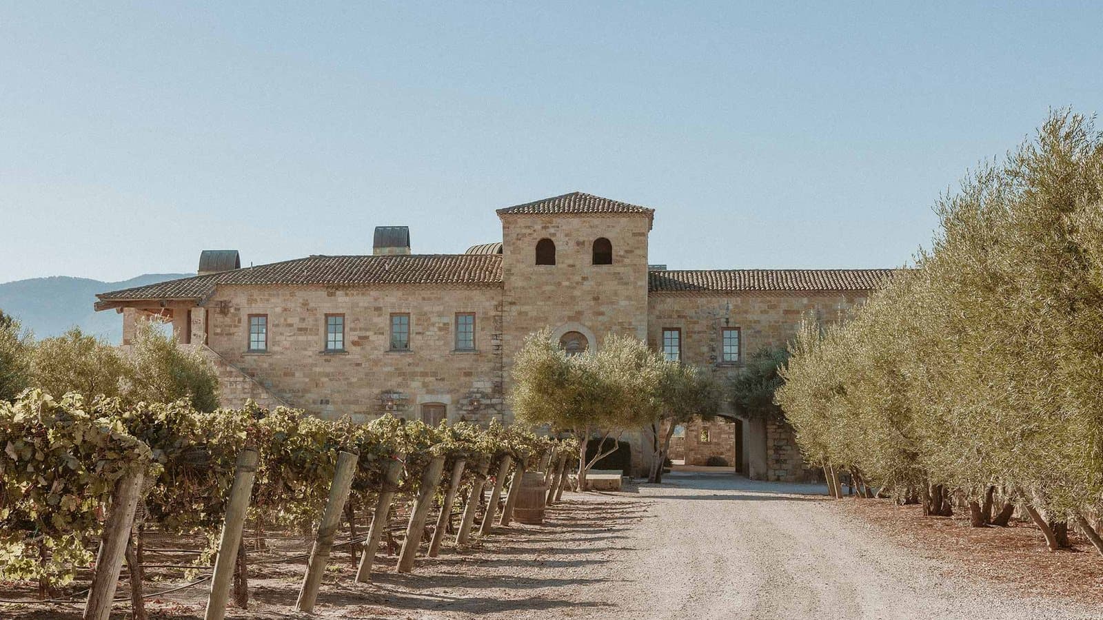 Sunstone Villa, a stone villa behind vineyard rows and olive trees