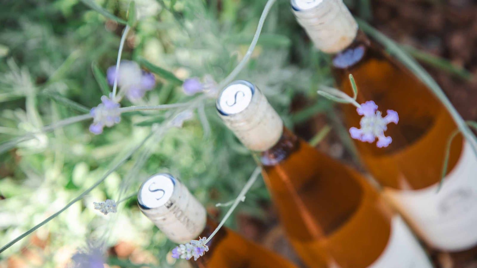 Sunstone wine bottles among lavender