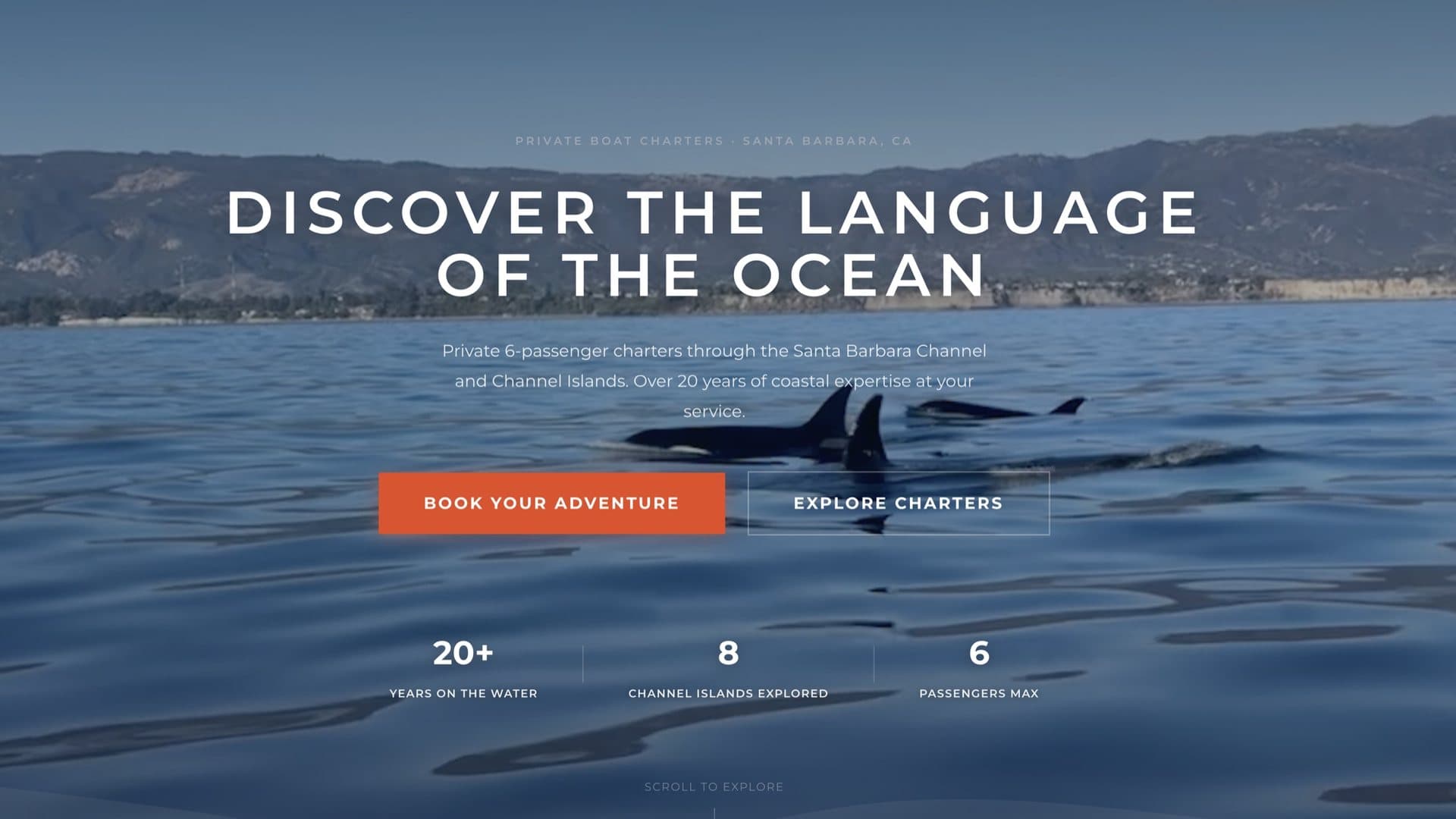 The SB Boat Charters homepage: orcas off Santa Barbara under the headline Discover the language of the ocean.