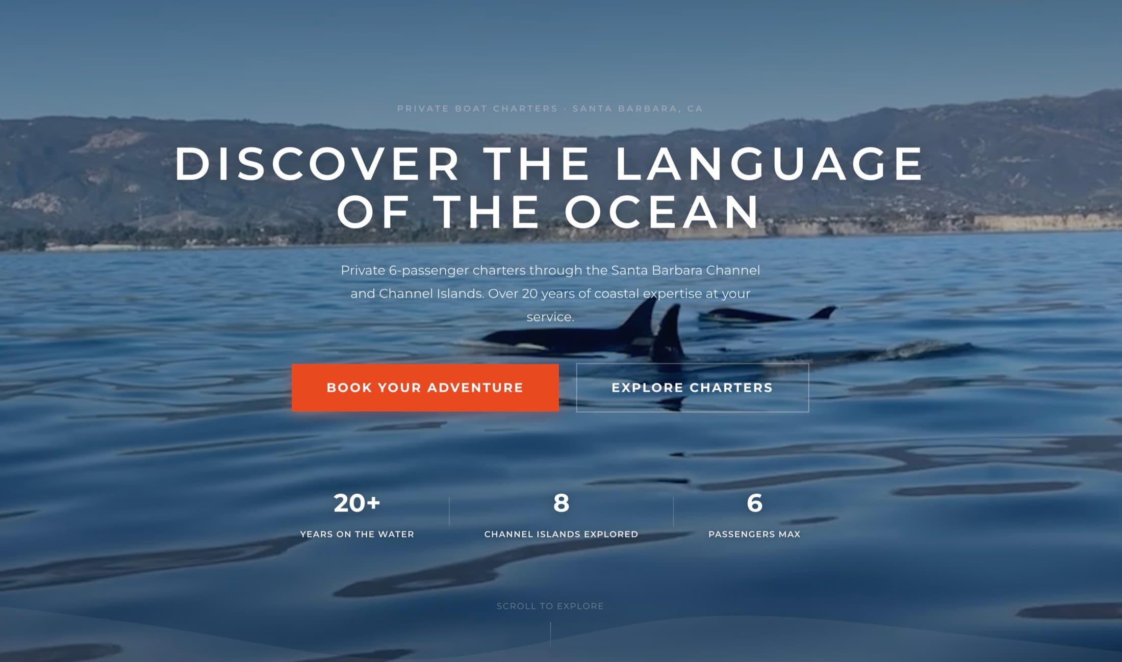 SB Boat Charters homepage with trip booking